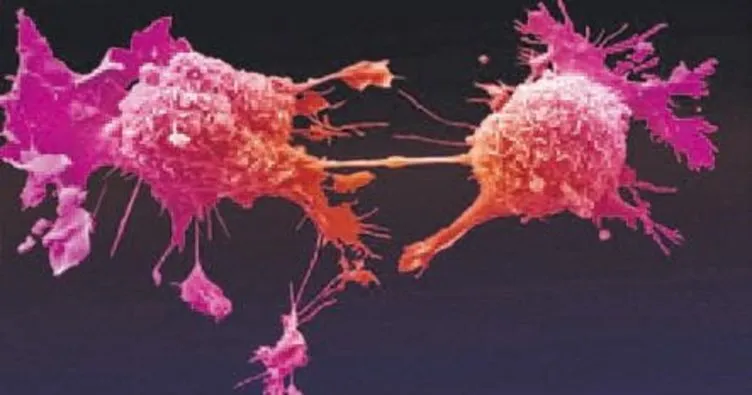 Sağlıklı hücreleri öldürmeden kanseri tedavi eden molekül