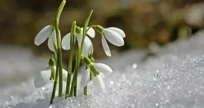 CEMRE DÜŞME TARİHLERİ 2026 | Havaya, suya, toprağa... İlk cemre ne zaman ve nereye düşecek?