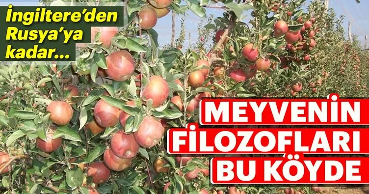 Türkiye’nin meyve deposu Babasultan Köyü