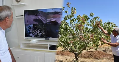 Kilosu servet değerinde: Güvenlik kamerası ile korunuyor!