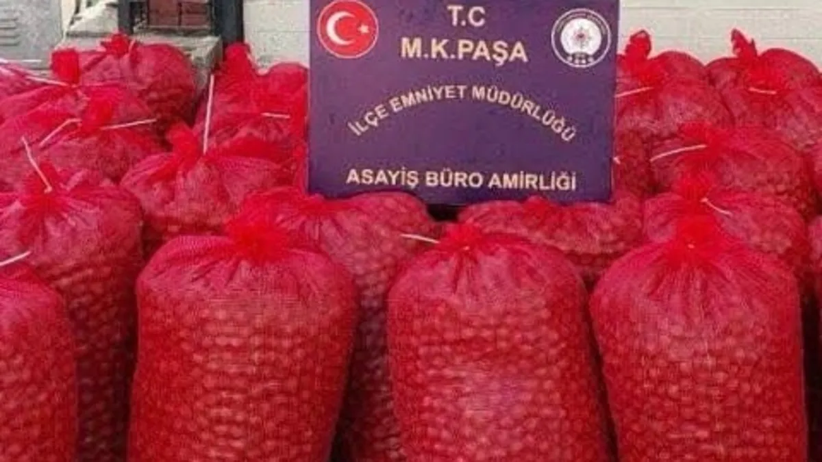 Bir ton ceviz çalan hırsızlar yakalandı