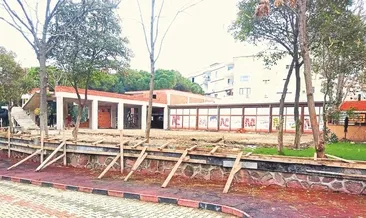 Ağaçları kesti inşaata başladı