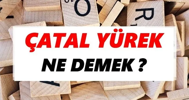 Çatal yürek Ne Demek? TDK’ya Göre Çatal yürek Sözlük Anlamı Nedir?