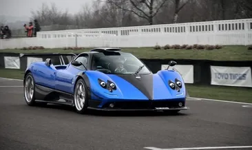 Dünyada 1 tane vardı, artık yok