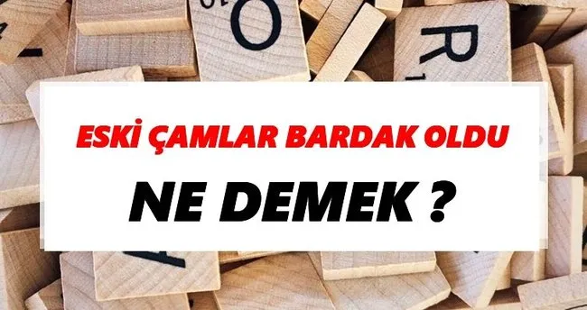 Eski çamlar bardak oldu Ne Demek? TDK’ya Göre Eski çamlar bardak oldu Sözlük Anlamı Nedir?