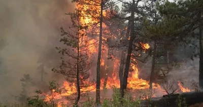 Eskişehir’de yangın mı çıktı? Son dakika!  Eskişehir’de  yangın nerede çıktı, söndürüldü mü, son durum ne?