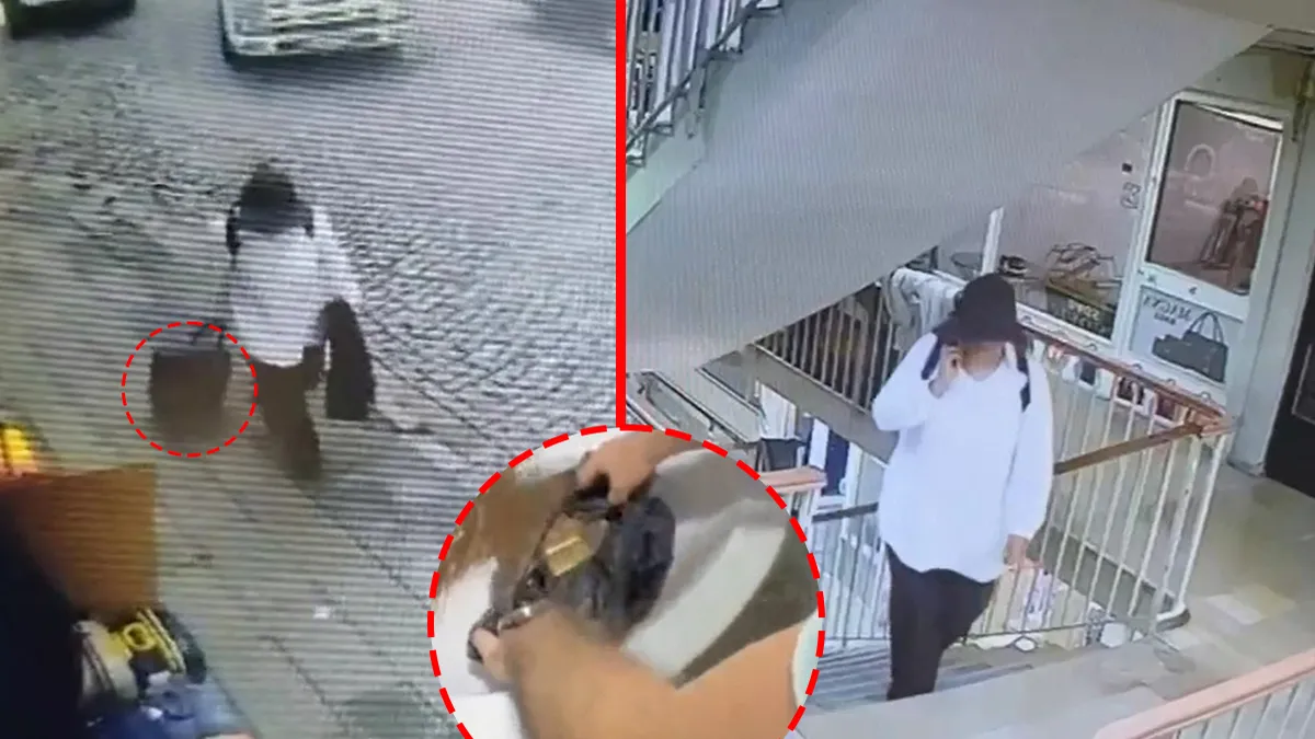 Fatih’te akılalmaz hırsızlık! Milyonlarca liralık vurgunu 10 dakikada yaptılar: Bavul dolusu altını böyle çaldılar! Fatih’te akılalmaz hırsızlık! Milyonlarca liralık vurgunu 10 dakikada yaptılar: Bavul dolusu altını böyle çaldılar!