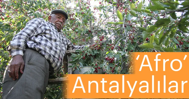 ‘Afro’ Antalyalılar