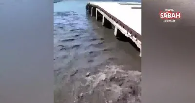 Tunç Soyer’in temiz körfez sözleri boşa çıktı. İzmir’de kanalizasyon suları denize dökülüyor | Video