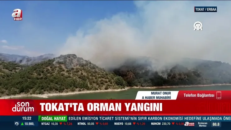 Tokat'ta orman yangını | Video