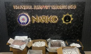 Uyuşturucu hap imalathanesine baskın