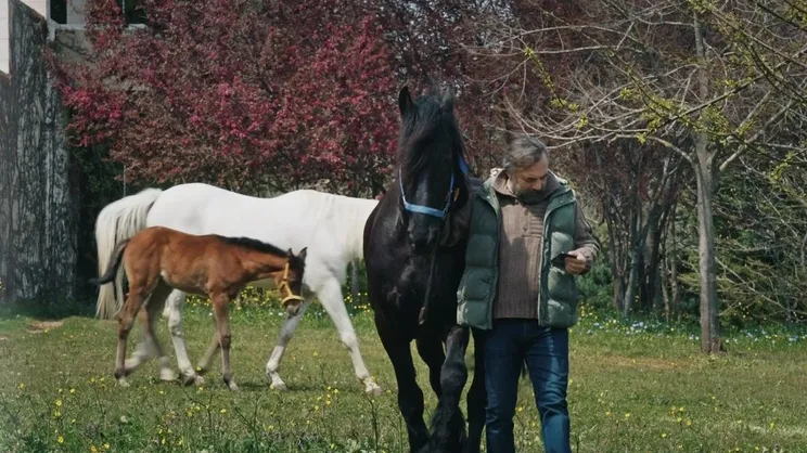 Eşkıya Dünyaya Hükümdar Olmaz 165. Bölüm (28 Nisan 2020 Salı) Masada katliam! Sezon finali fragmanı yayınladı | Video