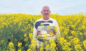 Kanola bereketi yüz güldürdü