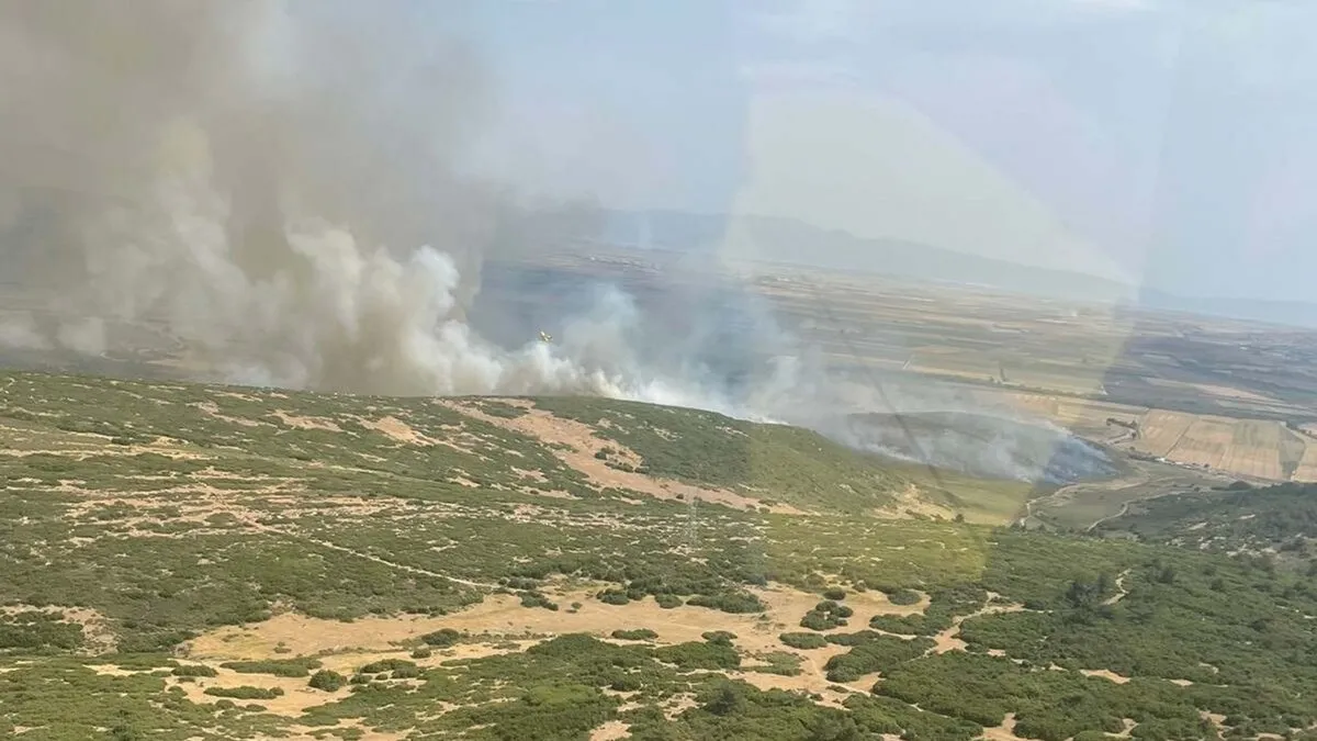 Son dakika... İzmir- Foça'da korkutan yangın! Müdahaleler sürüyor