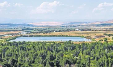Yeryüzündeki cennete uyuşturucu ektiler #diyarbakir