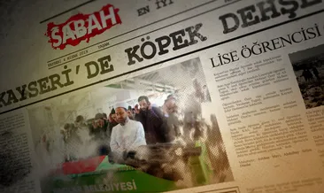 Sevginin korkuya dönüştüğü yer: Başıboş sokak köpeği sorunu