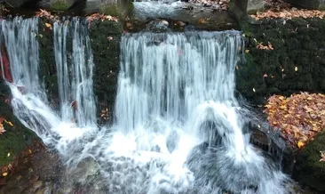 Rüyada şelale görmek ne anlama gelir?