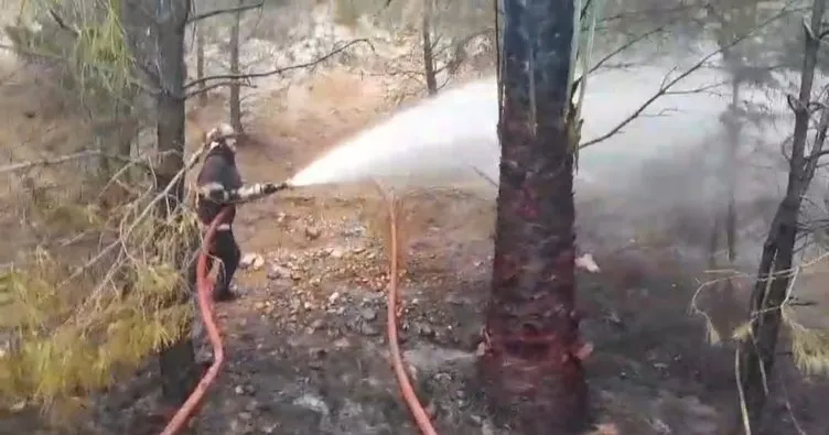 Şanlıurfa’da orman yangını çıktı