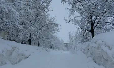 Bitlis’te kar yağışı etkisini artırdı