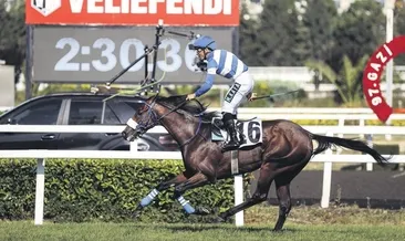 100.yılın şampiyonu Urfa Aslanı