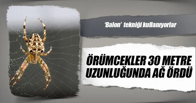 Örümcekler 30 metre uzunluğunda ağ ördü