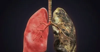 Nikotini dışarı atan süper gıda! Ciğerleri temizliyor