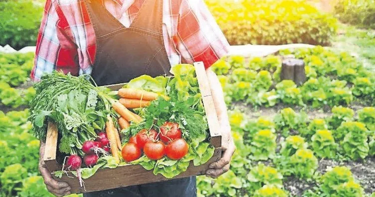 206’dan fazla tarım ürünü üretiyoruz