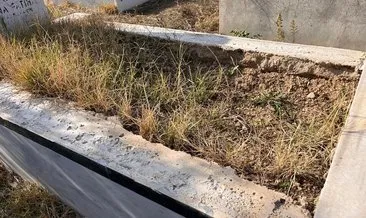 Tekirdağ'daki mezarlıkta pes dedirten olay: Hepsini evine götürmüş! #tekirdag