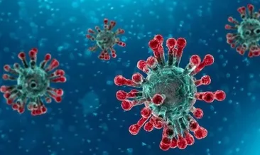 COVİD-19 ve Uygur Geleneksel Tıp!