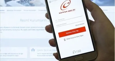 YSK seçmen kaydı sorgulama ekranı: 2024 Seçmen kaydı nereden sorgulanır, seçmen kağıdı çıktı mı?