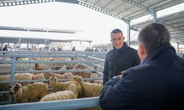 Bergama’da hayvancılığı destekleyecek projeler ürettik