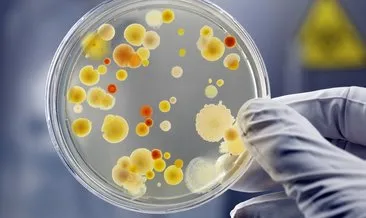 Kansere karşı dost mikropların önemi!