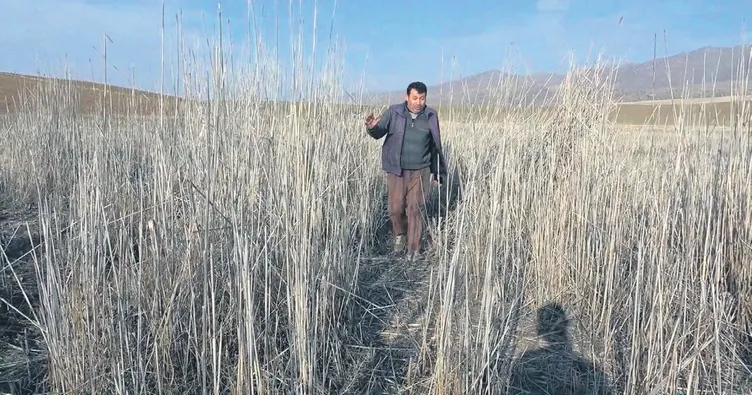 Gölet tamamen kurudu