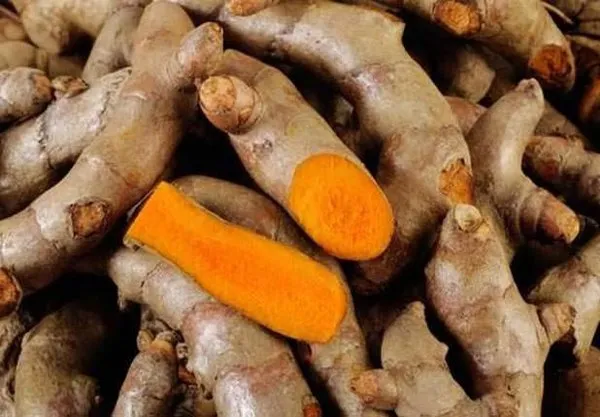 Zerdaçalın mucize etkileri