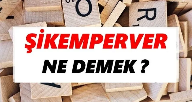 Şikemperver Ne Demek? TDK’ya Göre Şikemperver Sözlük Anlamı Nedir?