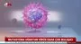 Corona virüs mutasyona uğradı! Artık daha çok bulaşıcı! | Video
