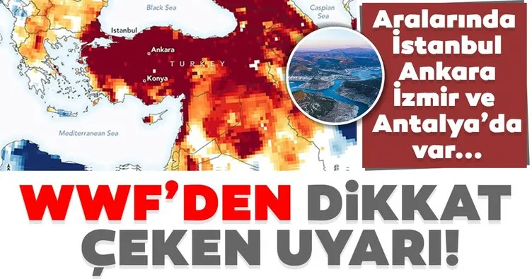 Son dakika haberi: WWF’den dikkat çeken uyarı! Aralarında İstanbul, Ankara, İzmir ve Antalya’da var...