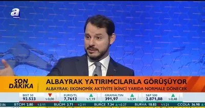 Hazine ve Maliye Bakanı Berat Albayrak, yabancı yatırımcılarla bir araya geldi | Video