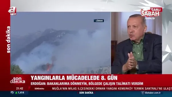 Başkan Erdoğan açıkladı: Afetzedelere nasıl destek olunacak? | Video