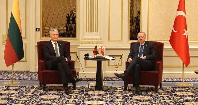 Başkan Erdoğan Litvanya Cumhurbaşkanı ile görüştü