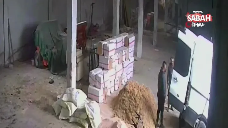 Çatalca'da kurbanlık hayvan hırsızlığı! Çaldıkları hayvanları kendi çiftliklerine böyle getirdiler | Video