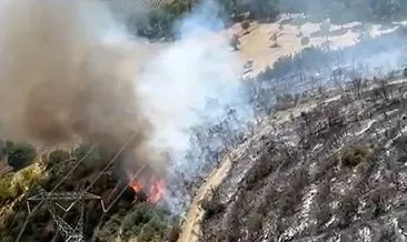 Bursa Yenişehir'de orman yangını: 2 helikopter 12 arazöz ile müdahale ediliyor! #bursa