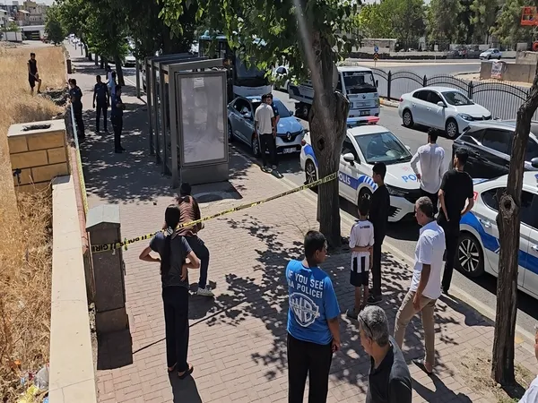 1783499280907.jpg