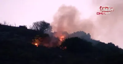 Son Dakika: İzmir Menderes’te orman yangını | Video