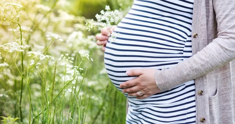 7 Haftalik Gebelik Hamileliginizin Yedinci Haftasi