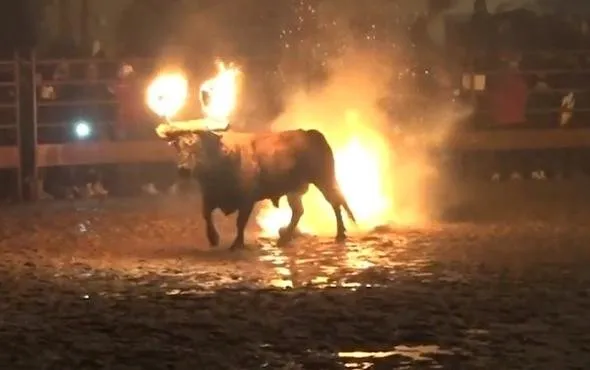 Böyle bir vahÅet görülmedi... Diri diri yaktılar...