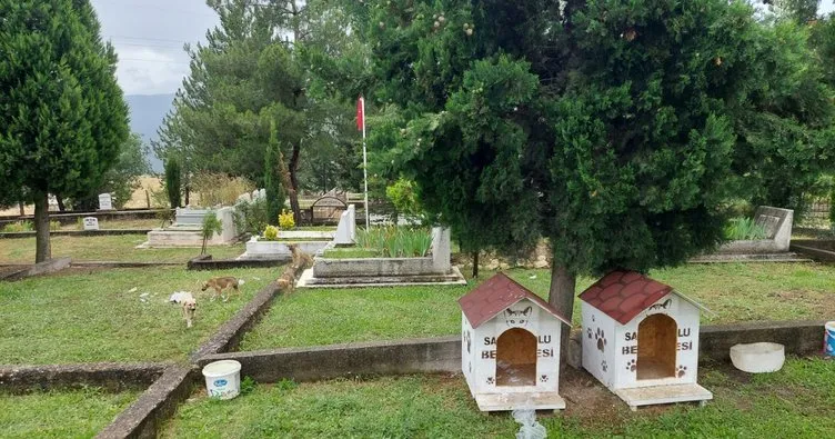 CHP’li Safranbolu Belediyesi şehit mezarlarının yanına köpek kulübeleri koydu
