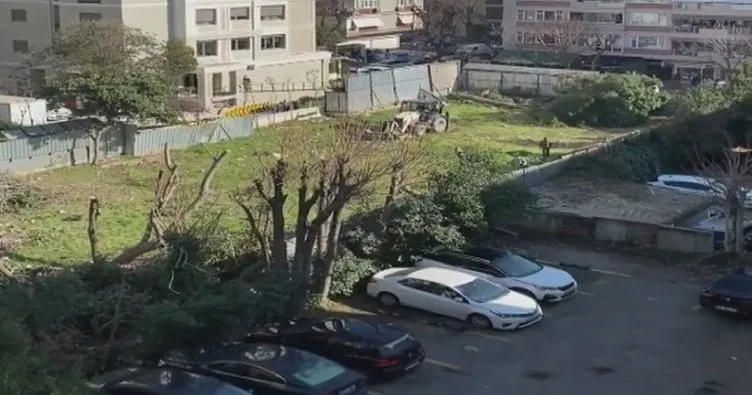 Kadıköy’de ağaç katliamı cezasız kalmayacak! O katliamın videoları ortaya çıktı