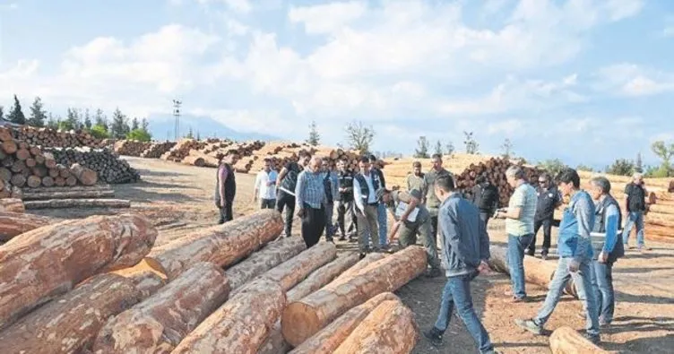 Tarsus Orman İşletmesi’nin üretim faaliyetleri değerlendirildi