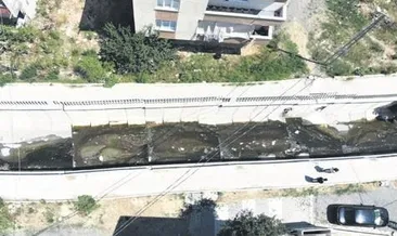 Avcılar’da Batı Nil virüsü paniği